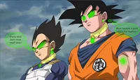 Goku and Vegeta