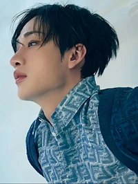 Bang Chan Hanahaki