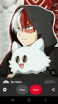 Shoto Todoroki