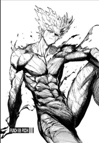Garou