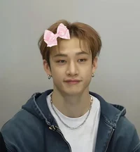 Bang Chan 