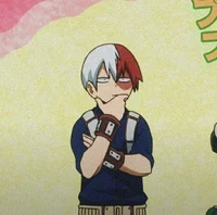 602 Shoto Todoroki