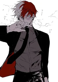 Shoto Todoroki 