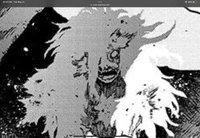Shigaraki