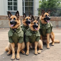 German Shepard army