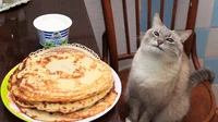 Pancake