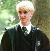 Draco - Drarry AU