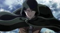 Captain Levi
