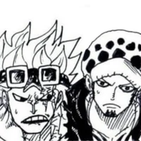 Law and Kid