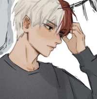 Shoto Todoroki 