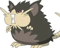 Alolan Raticate