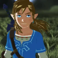 You and link as duos