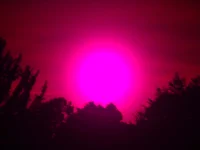 The Pink Sun