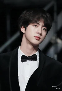 Seokjin 