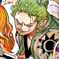 Z Roronoa Zoro