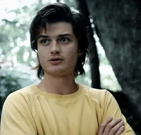 Steve Harrington 