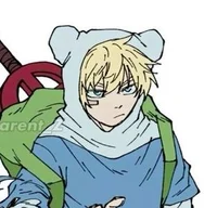 Finn the human