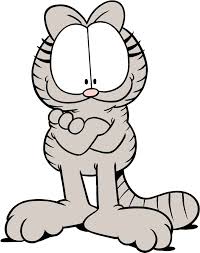 Nermal C kitten