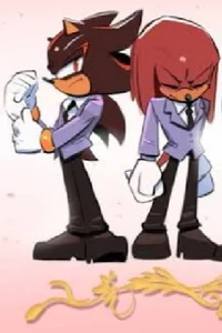 SHADOW AND KNUCKLES 