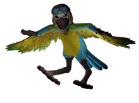 Molly Macaw