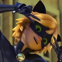 ML - Chat Noir