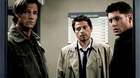 Team Free Will