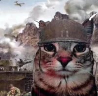 WW1 Cat