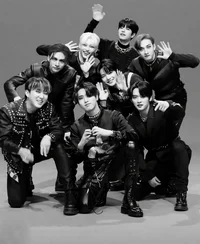 Stray kids 