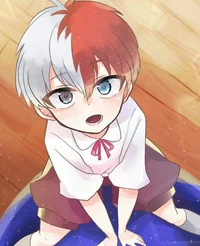 Todoroki Shoto