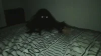 Monster under bed