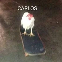 Carlos el pollo