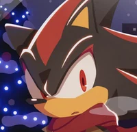 Shadow The Hedgehog