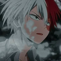 Shoto Todoroki 