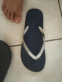 Asian Slipper