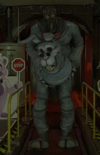 Jrs bonnie