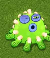 Редкий палезатор