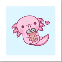 Axolotl