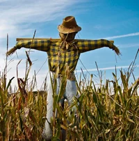 Scarecrow
