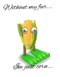 furcoes 19 ages year