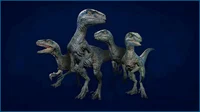 Raptor Squad 2 BR