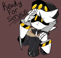 Serial designation N