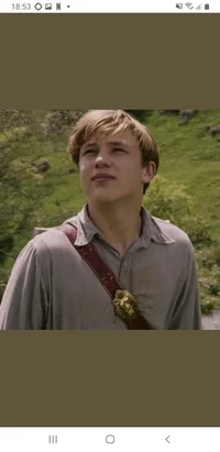 Peter Pevensie 