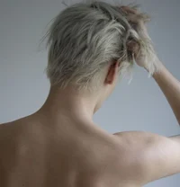 Prince - arrangement