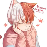 Cat Shoto Todoroki 