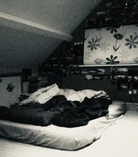 003 SHEPARD BROTHERS