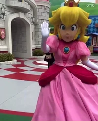 Princess Peach USH
