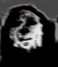 SMLWIKI - Silhouette