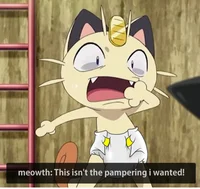 Padded Meowth