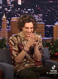 Mr Chalamet
