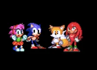 Team Sonic And Amy